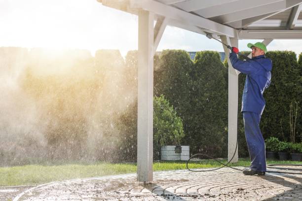 Best House Exterior Washing  in Coing, AL